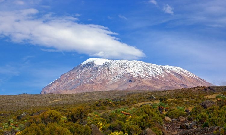 Mount-Kilimanjaro-National-Parks-750x450