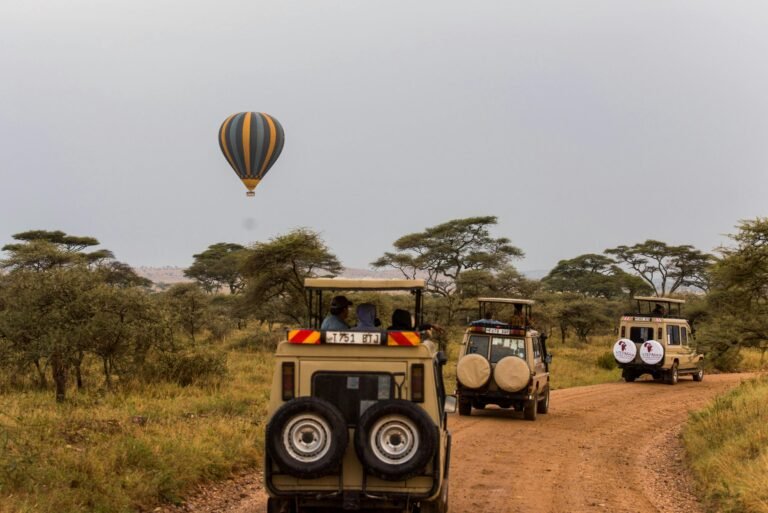 pexels-tanzania-wild-sky-986912744-20179685