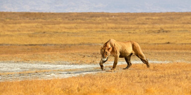 shutterstock_114598993