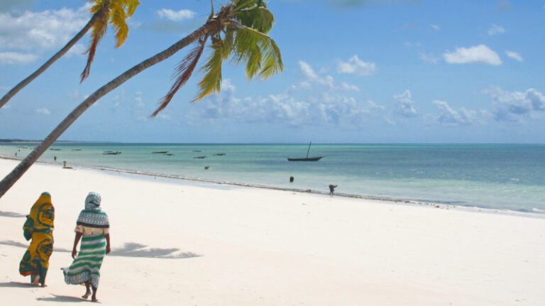 Dream beach of Zanzibar island with clorful dressed woman, white sand, palmtrees, turquoise sea, old boats and blue sky!

You can find more SUMMER HOLIDAY theme pictures [url=http://www.istockphoto.com/file_search.php?action=file&lightboxID=3367807 t_blank]HERE[/url]

You can find more pictures from AFRICA with people, wild animals, safari, nature, landscapes, beaches and cities [url=http://www.istockphoto.com/file_search.php?action=file&lightboxID=1640702 t_blank]HERE[/url]

My African People:
[url=http://www.istockphoto.com/file_closeup.php?id=2051524 t=blank][img]http://www.istockphoto.com/file_thumbview_approve.php?size=1&id=2051524[/img][/url]

[url=http://www.istockphoto.com/file_closeup.php?id=2563586 t=blank][img]http://www.istockphoto.com/file_thumbview_approve.php?size=1&id=2563586[/img][/url]

[url=http://www.istockphoto.com/file_closeup.php?id=2563603 t=blank][img]http://www.istockphoto.com/file_thumbview_approve.php?size=1&id=2563603[/img][/url]

[url=http://www.istockphoto.com/file_closeup.php?id=2094641 t=blank][img]http://www.istockphoto.com/file_thumbview_approve.php?size=1&id=2094641[/img][/url]

[url=http://www.istockphoto.com/file_closeup.php?id=2057328 t=blank][img]http://www.istockphoto.com/file_thumbview_approve.php?size=1&id=2057328[/img][/url]

[url=http://www.istockphoto.com/file_closeup.php?id=2051489 t=blank][img]http://www.istockphoto.com/file_thumbview_approve.php?size=1&id=2051489[/img][/url]


[url=http://www.istockphoto.com/file_closeup.php?id=2055969 t=blank][img]http://www.istockphoto.com/file_thumbview_approve.php?size=1&id=2055969[/img][/url]

[url=http://www.istockphoto.com/file_closeup.php?id=2164217 t=blank][img]http://www.istockphoto.com/file_thumbview_approve.php?size=1&id=2164217[/img][/url]

[url=http://www.istockphoto.com/file_closeup.php?id=2155308 t=blank][img]http://www.istockphoto.com/file_thumbview_approve.php?size=1&id=2155308[/img][/url]